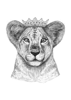 The Lion Princess