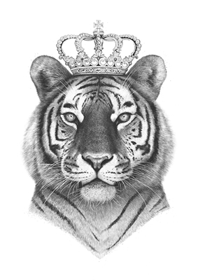 Tygrysi kungen