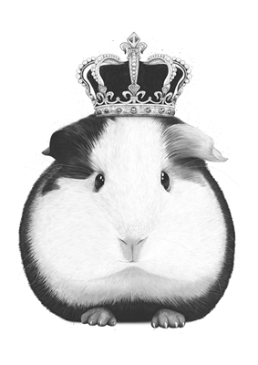 The Guinea Pig King
