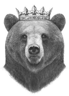 King bear