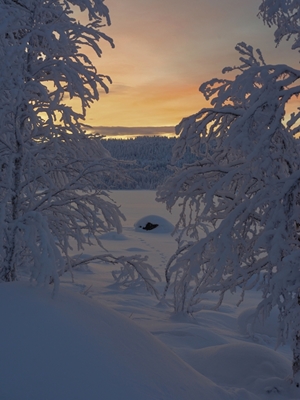 January light, Lapland