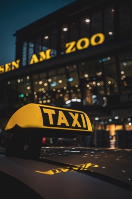 Taxi am Bahnhof Zoo Berlin