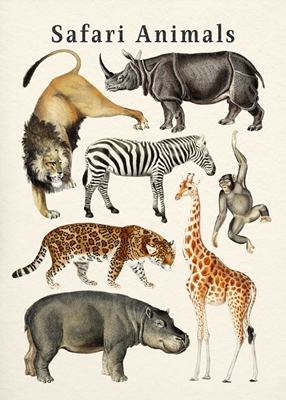 Safari Animals Collection