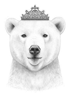 Queen bear