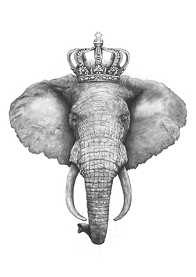 The King Elephant