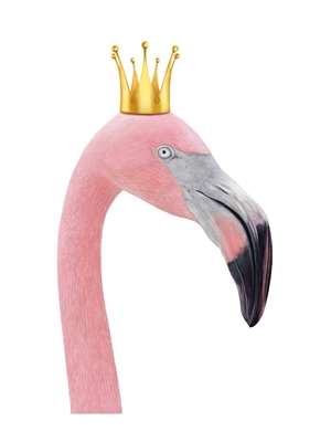 Queen Flamingo
