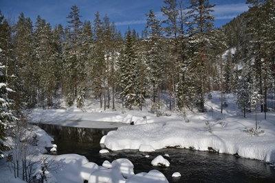 Frozen river meets sunshine