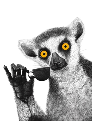 Lemur with coffee