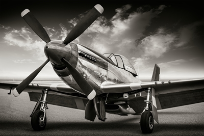 The P51