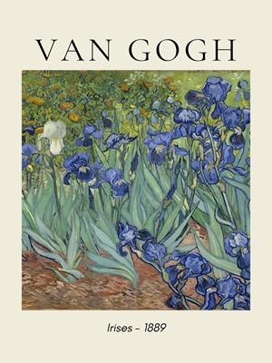 Van Gogh Irises 1889
