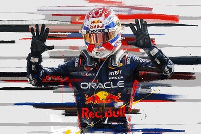 MAX RED BULL TEAM DRIVER