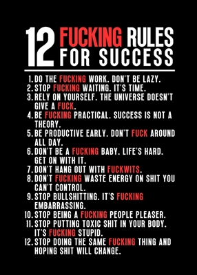 12 Fucking Rules For Success