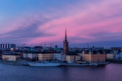 Pink sky over Stockholm