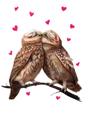 Lovely owls