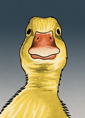 Duck Staring Meme