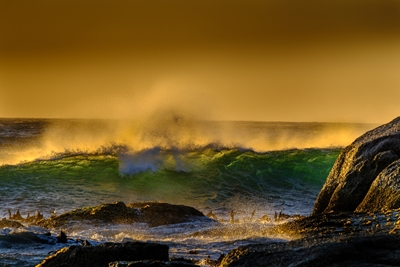 Wave bathing in golden light