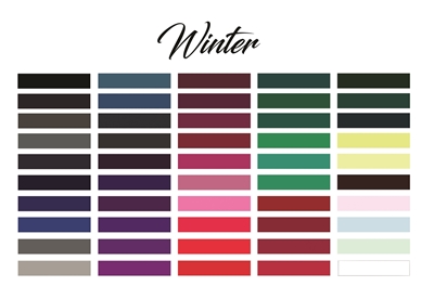 Winter Color Palette