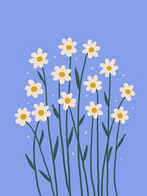 Simple white daisies