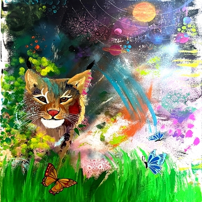 Lynx with universe