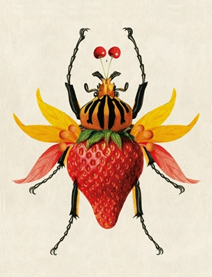 Erdbeer-Insekt