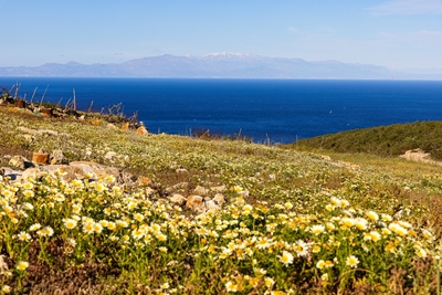 Gavdos - Island of flowers