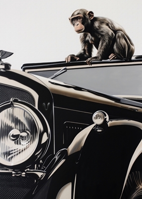 Monkey and the Bentley