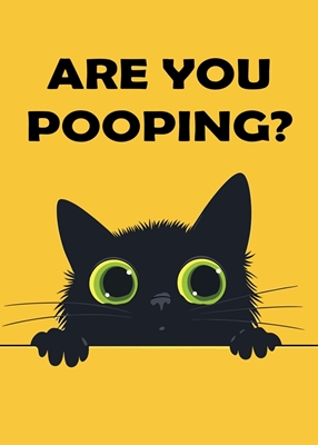 Are you Pooping