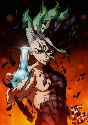 Dr Stone Poster 