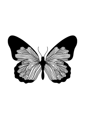 Minimalist Butterfly