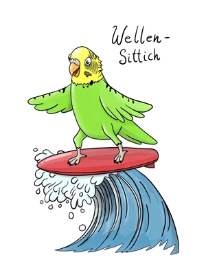 Papużka falista surfuje na fali