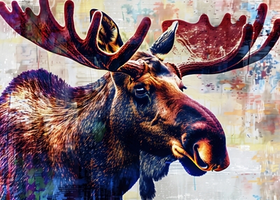 The moose - king of the forest