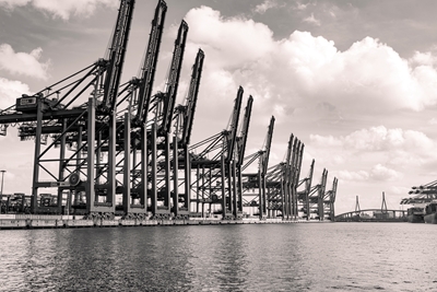 Die Kräne im Hamburger Hafen