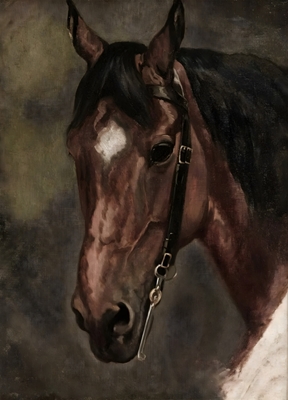 Vintage Horse Portrait