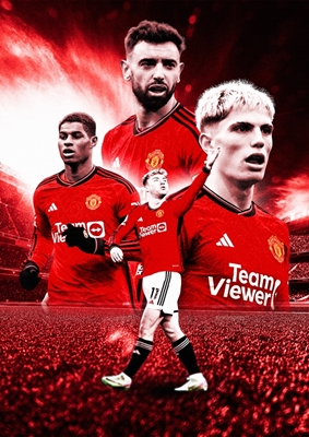Manchester United Voetbal 