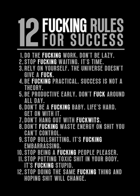 12 Fucking Rules For Success