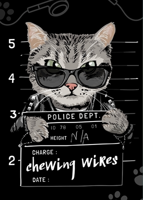 Departamento de Polícia de Gatos