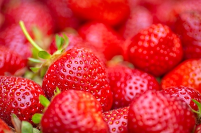 Erdbeeren in Nahaufnahme