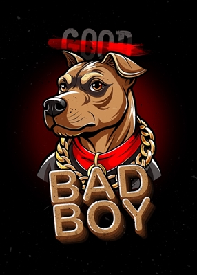 Hund Bad Boy