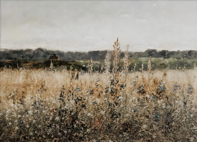 Wildflower Field Landscape