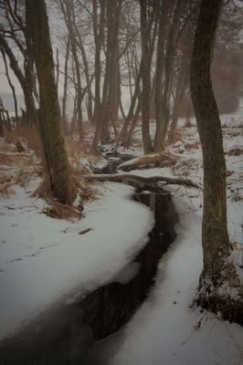 bekk i skogen vinter landskap