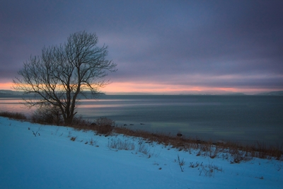winter landscape sunset beach