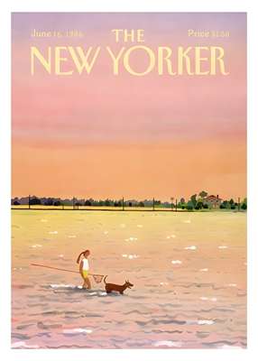 Das Cover des New Yorker Magazins