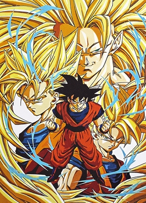 Gokuův portrét