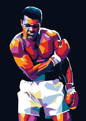 Muhammad Ali Popkonst