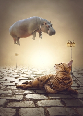 Flying hippo with a cat