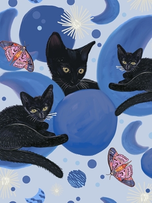 Schwarze Katze und Mondphasen