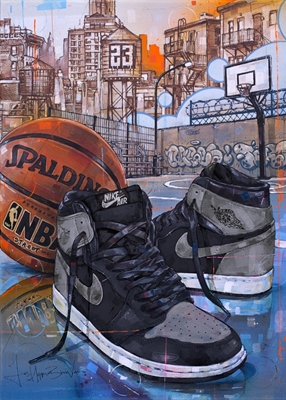 Sneaker Shadow 1,0 basketball