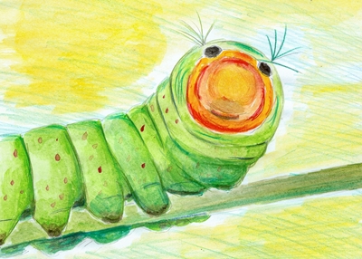 the little caterpillar