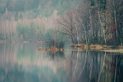 Höstens Magi vid Skogssjön