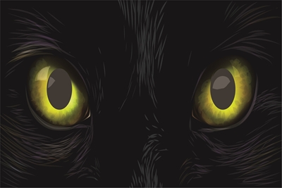 žluté kočičí oči